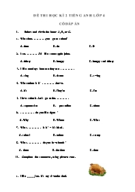 Đề thi học kì 2 Tiếng Anh Lớp 4 (Có đáp án)