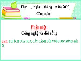 Bài giảng Công nghệ Lớp 4 - Bài 1: Lợi ích củ