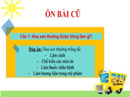 Bài giảng Công nghệ Lớp 4 - Bài 2: Một số loạ