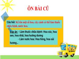 Bài giảng Công nghệ Lớp 4 - Bài 2: Một số loạ