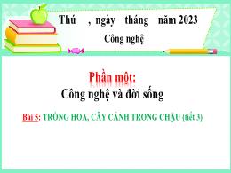 Bài giảng Công nghệ Lớp 4 - Bài 5: Trồng hoa,