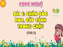 Bài giảng Công nghệ Lớp 4 (Kết nối tri thức v