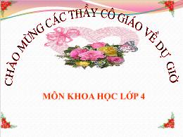 Bài giảng Khoa học Lớp 4 - Bài 20: Nước có nh