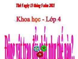 Bài giảng Khoa học Lớp 4 - Bài 64: Động vật t