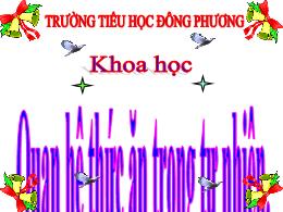 Bài giảng Khoa học Lớp 4 - Bài 65: Quan hệ th