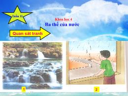 Bài giảng Khoa học Lớp 4 - Tuần 11 - Bài 21: 