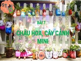 Bài giảng Stem Công nghệ Lớp 4 - Bài 7: Chậu 