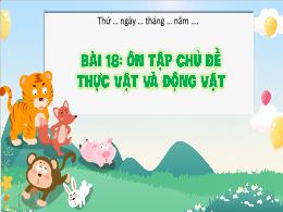 Bài giảng Khoa học 4 (Kết nối tri thức) - Bài