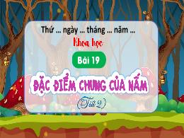 Bài giảng Khoa học 4 (Kết nối tri thức) - Bài