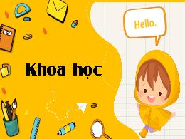Bài giảng Khoa học 4 (Kết nối tri thức) - Bài