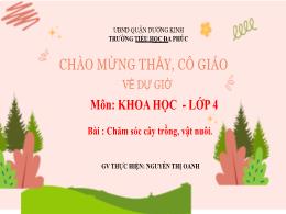 Bài giảng Khoa học 4 (Kết nối tri thức) - Bài