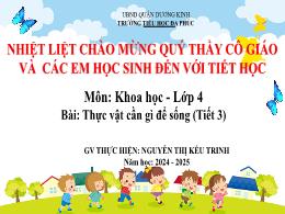 Bài giảng Khoa học 4 (Kết nối tri thức) - Bài
