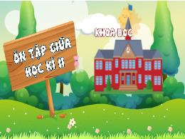 Bài giảng Khoa học Lớp 4 - Bài: Ôn tập giữa h