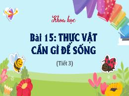 Bài giảng Khoa học Lớp 4 (Kết nối tri thức) -