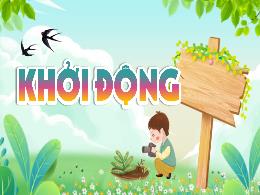 Bài giảng Khoa học Lớp 4 (Kết nối tri thức) -
