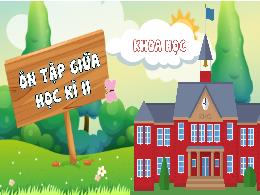 Bài giảng Khoa học Lớp 4 (Kết nối tri thức) -