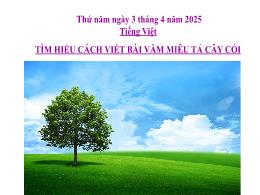 Bài giảng Tiếng Việt 4 (Kết nối tri thức) - B