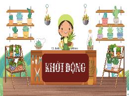 Bài giảng Toán 4 (Kết nối tri thức) - Bài 67: