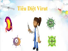 Bài giảng Tự nhiên xã hội 2 (Kết nối tri thức