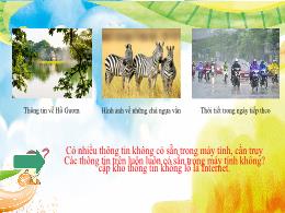 Bài giảng Tin học 4 - Chủ đề 3: Tổ chức lưu t