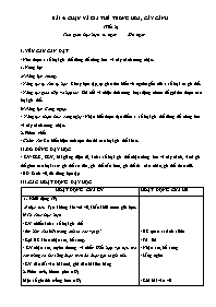 Giáo án Công nghệ 4 - Bài 4: Chậu và giá thể