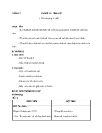 Giáo án Mĩ thuật 4 - Tuần 27-30